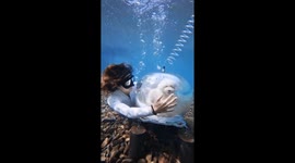 Pet dog explores underwater world in custom-made diving bell