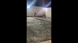 Running Start Pool Stunt Fail