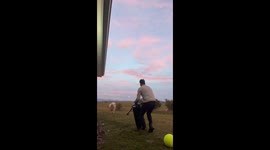 Pet Ram Knocks Down Man With Punching Bag on New Zealand Farm