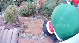 Santa Is Out for Delivery!