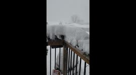 Blizzard and White out Snow in Ontario