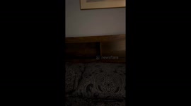 Sound Activated Lights on Bed Triggered by Fart