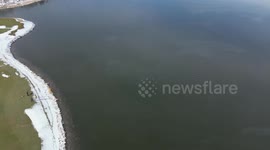 US: Brave Fire Crew Rescues Exhausted Deer Trapped On Breaking Ice