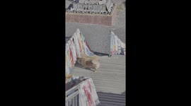 POV: Trying to Get Your Indoorsy Friend to Go for a Hike