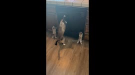 Mom Teaching Her Babies to Be Weirdos