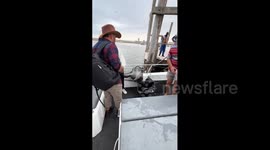 Namibia: Sea lion climbs aboard boat and calmly enjoys snacks