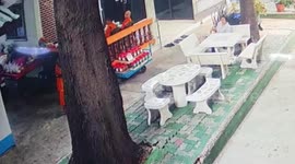 Buddhist monk, 62, calmly asks for help as wild PYTHON strangles him