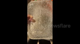 China: Chinese resident captures shocking moment of a fish still alive inside frozen ice