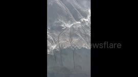 China: Chinese visitors film wild goats charging at breathtaking speed along a sheer mountain wall