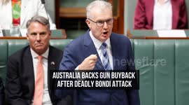 Australia Backs Gun Buyback After Deadly Bondi Attack