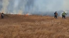 Chile: Chile wildfires kill 19