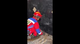 Firefighter removes huge python out of home sewer in Indonesia