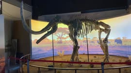 Ancient megafauna fossils in Türkiye recreated with 3D technology