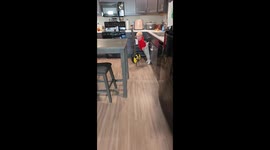 Toddler Gets a Wedgy