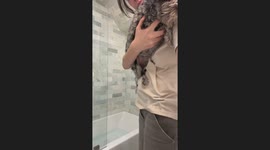 Dog Planks to Avoid Bath