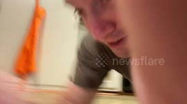 Chihuahua playfully “defends” dinner in viral 85.6k‑view Instagram clip