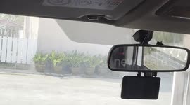 My car came under attack from two small but vicious tree sparrows in Khonkaen, Thailand.