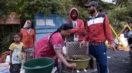 Over 60,000 live crabs offered by devotees at Gujarat Temple for Ear Ailments