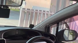 My car came under attack from  a small but vicious tree sparrow in Khonkaen, Thailand.