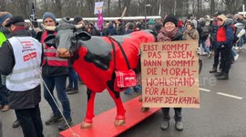 Thousands of farmers march in Berlin over farm policy