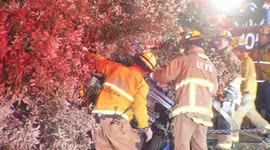 US, Los Angeles: Woodland Hills Person Trapped After Car Crashes Into Tree Graphic Content