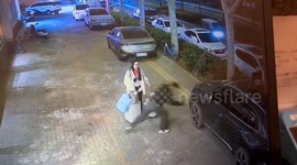 Man headbutts parked during argument with girlfriend in bizarre outburst leaving vehicle dented