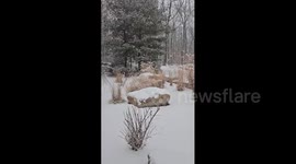 US: Fresh Snow Covers Hampton Township During Heavy Snowfall