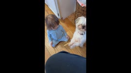 Baby Blesses Sneezing Dog