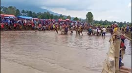 POV : Pacu Jawi bull racing through muddy rice field in Indonesia