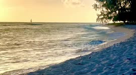 Celebrate Errol Barrow Day in Barbados with a spectacular sailing regatta. Watch as yachts navigate the crystal-clear waters, illuminated by the golden hues of the setting sun. A truly unforgettable experience awaits!