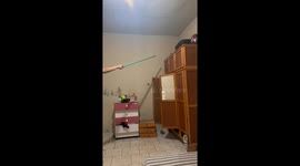 Women Chase Flying Rat Out Of Bedroom