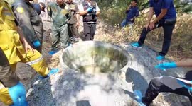 Furious grandson 'kills evil sisters who abused real-life Cinderella while she was sick'