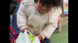 China: Kindergarten children in China harvest cabbages in winter field