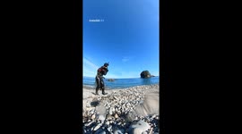 Octopus Stuck to Guy's Back