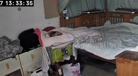 Funny pet interaction inside a room in Fujian, China