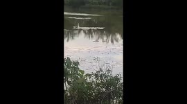 Police save mother attacked by crocodile in reservoir