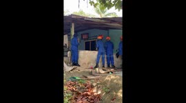 Firemen rescue enormous 12ft king cobra in family's front yard