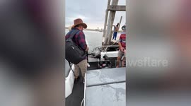 Sea lion climbs aboard boat to enjoy snacks with tourists