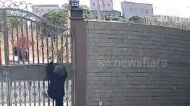 Grandma, 82, scales three-metre gate after rusted door traps her inside