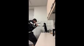 Cat interrupts cooking with playful “attack dance” in viral 775K‑view TikTok
