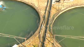 China: Chinese caviar captivates global palates