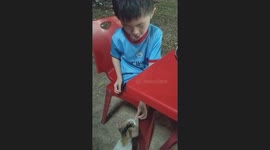 Adorable Kids Feed Roti Canai to Stray Cat Near Food Stall in Melaka, Malaysia