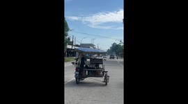 Seven pet dogs ride motorcycle sidecar with owner