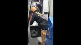 Firefighters battle to remove aggressive python from truck