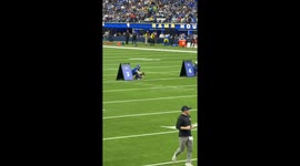 Corgi Evades Capture Until Being Tackled