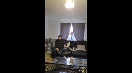 Sheepdog lady Lola bravely seeks affection while avoiding dad’s Hoover