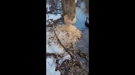 Man vs Nature. Nature wins