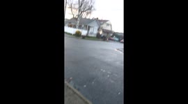 Cacophony From Circling Crows