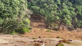 New Zealand: Massive Landslide Devastates Mount Maunganui Holiday Park After Torrential Rain