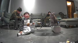 Sneezing cat surprises family in living room in Guangdong, China